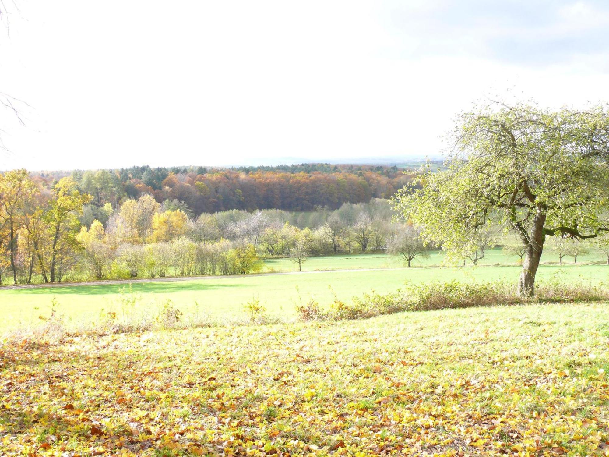 Ferienwohnungen Fischer Strullendorf Экстерьер фото